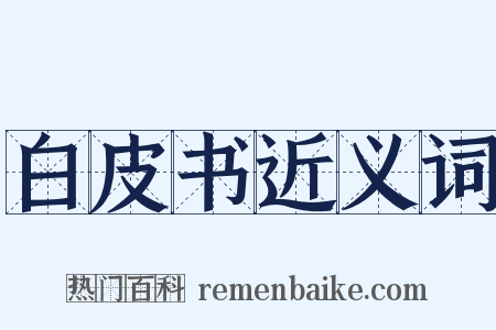 白皮书近义词是什么意思的图片